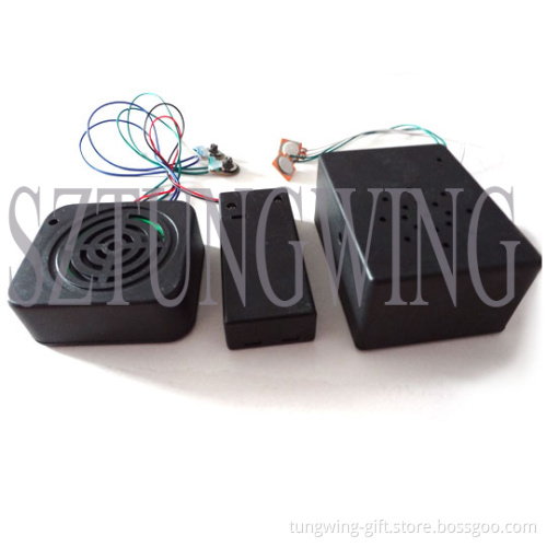 Recording Sound Module of All Sizes
